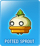 Potted Sprout